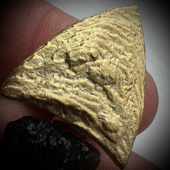 Leaf-Inspired Gold-Plated Moldavite Necklace (3.45g) — Chlum, Czech Republic