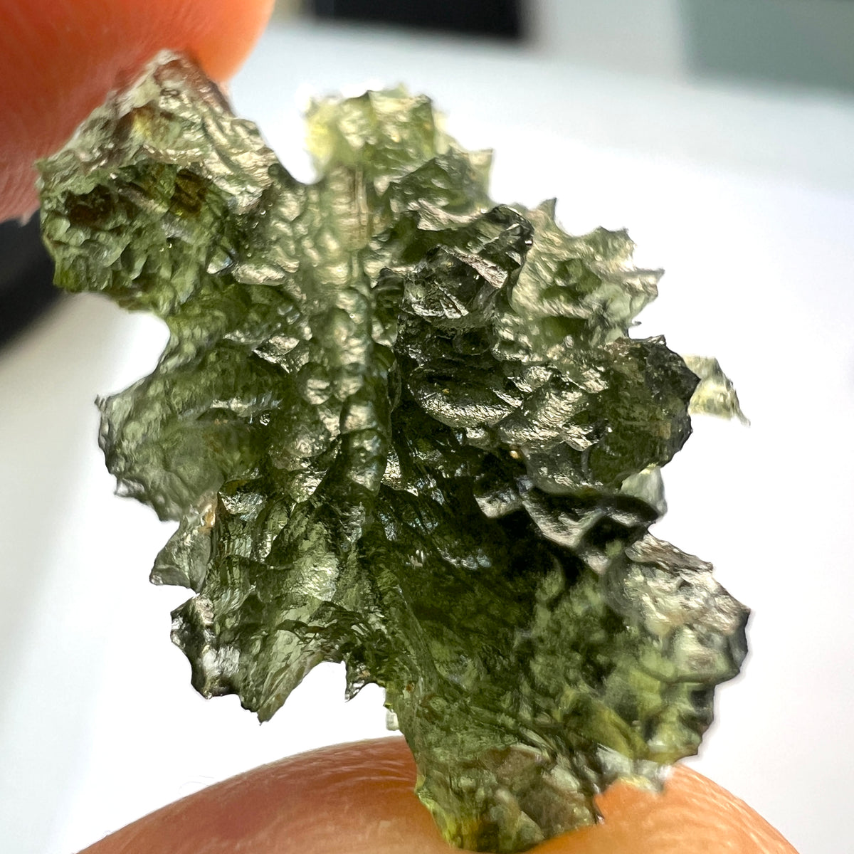 4.02g Chlum Moldavite