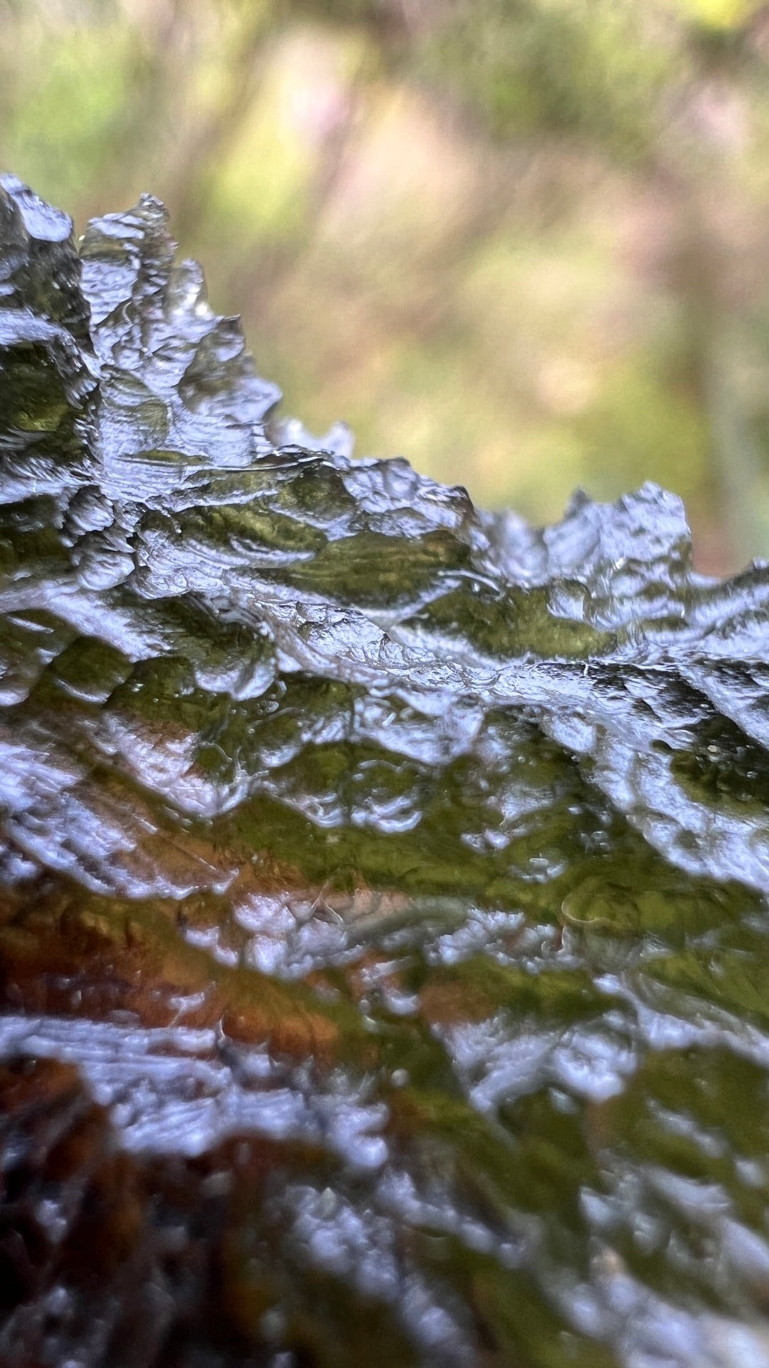 5.34g Moldavite