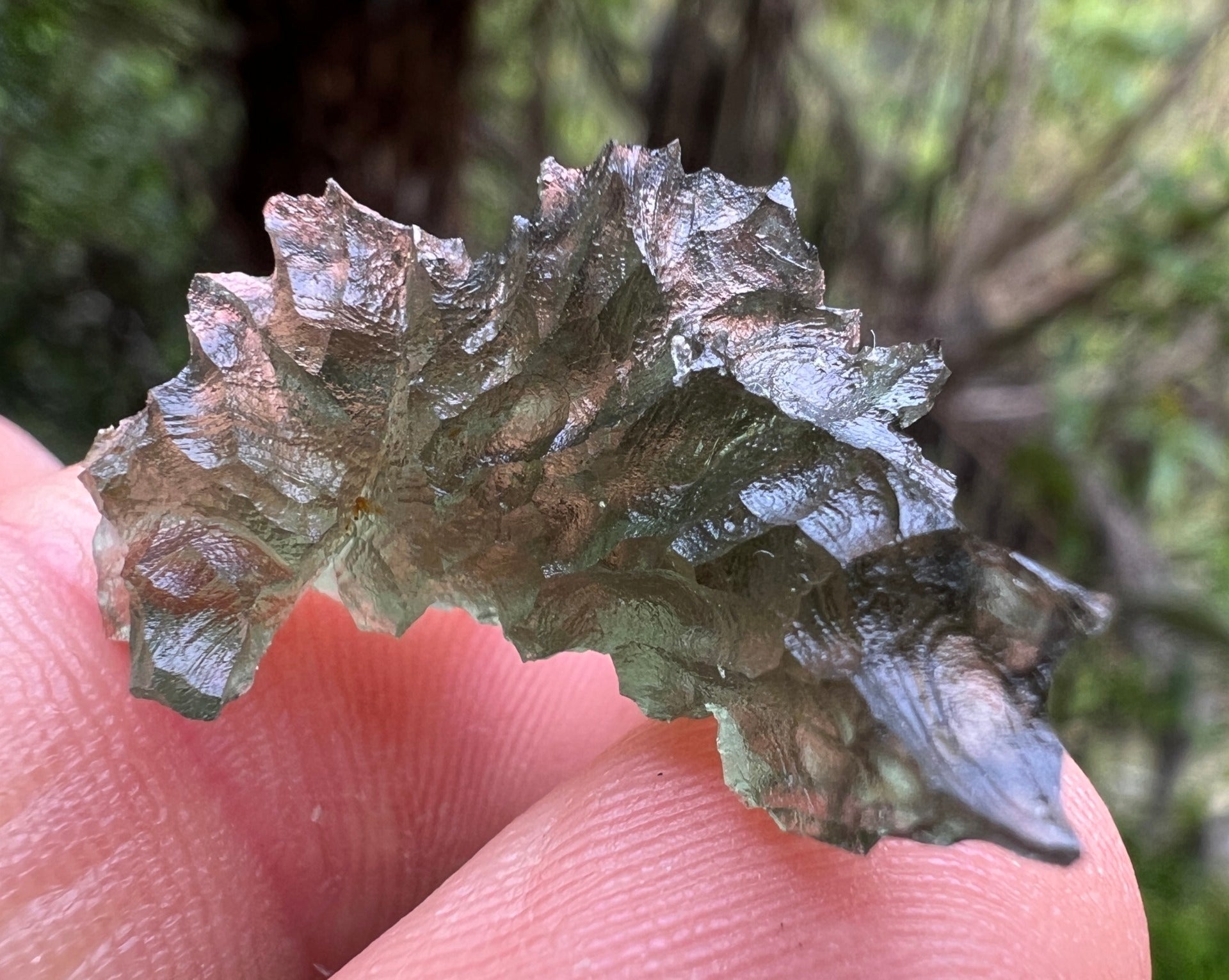 2.45g Hedgehog Moldavite