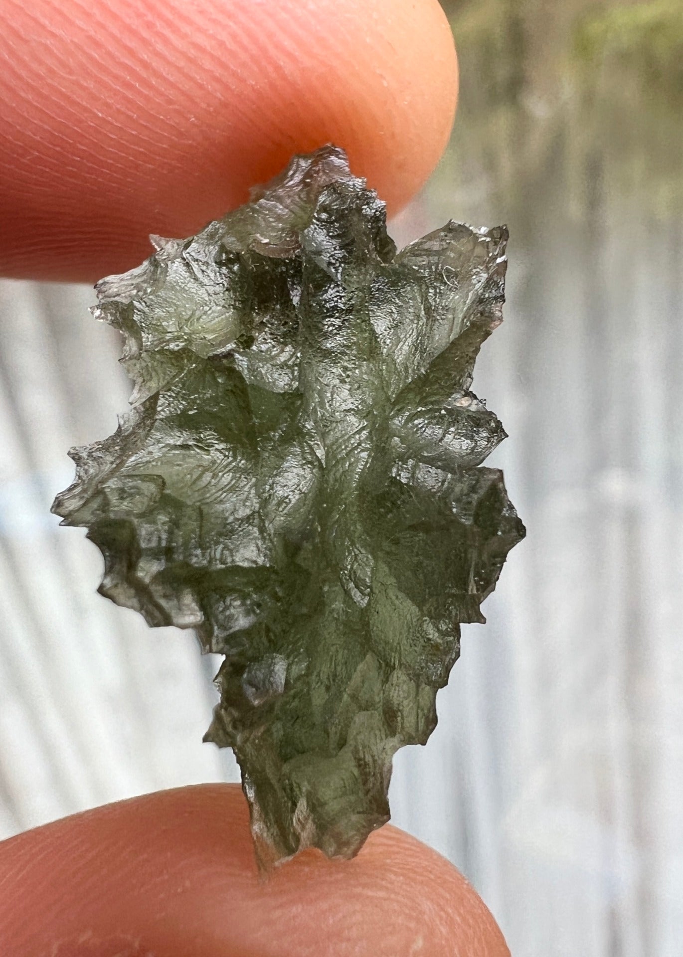 2.45g Hedgehog Moldavite