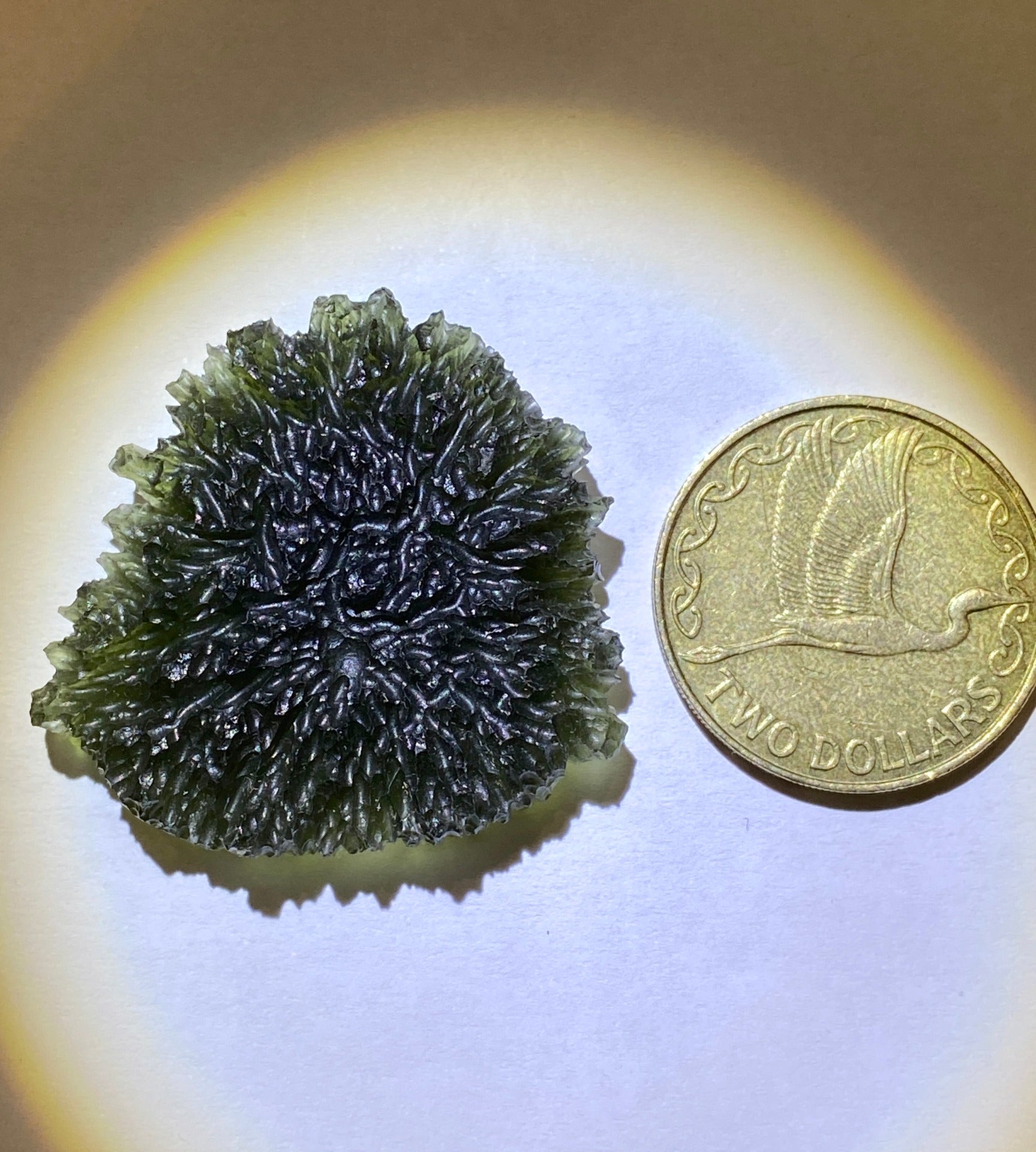 Investment Moldavite, 15.84g.