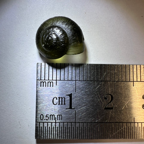 Exquisite Tiny Moldavite Carving – “Snail Shell” by Pavlína Cambalová