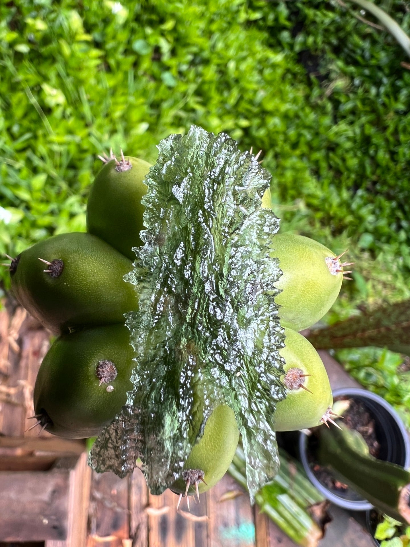 3.33g Angel Chime Moldavite