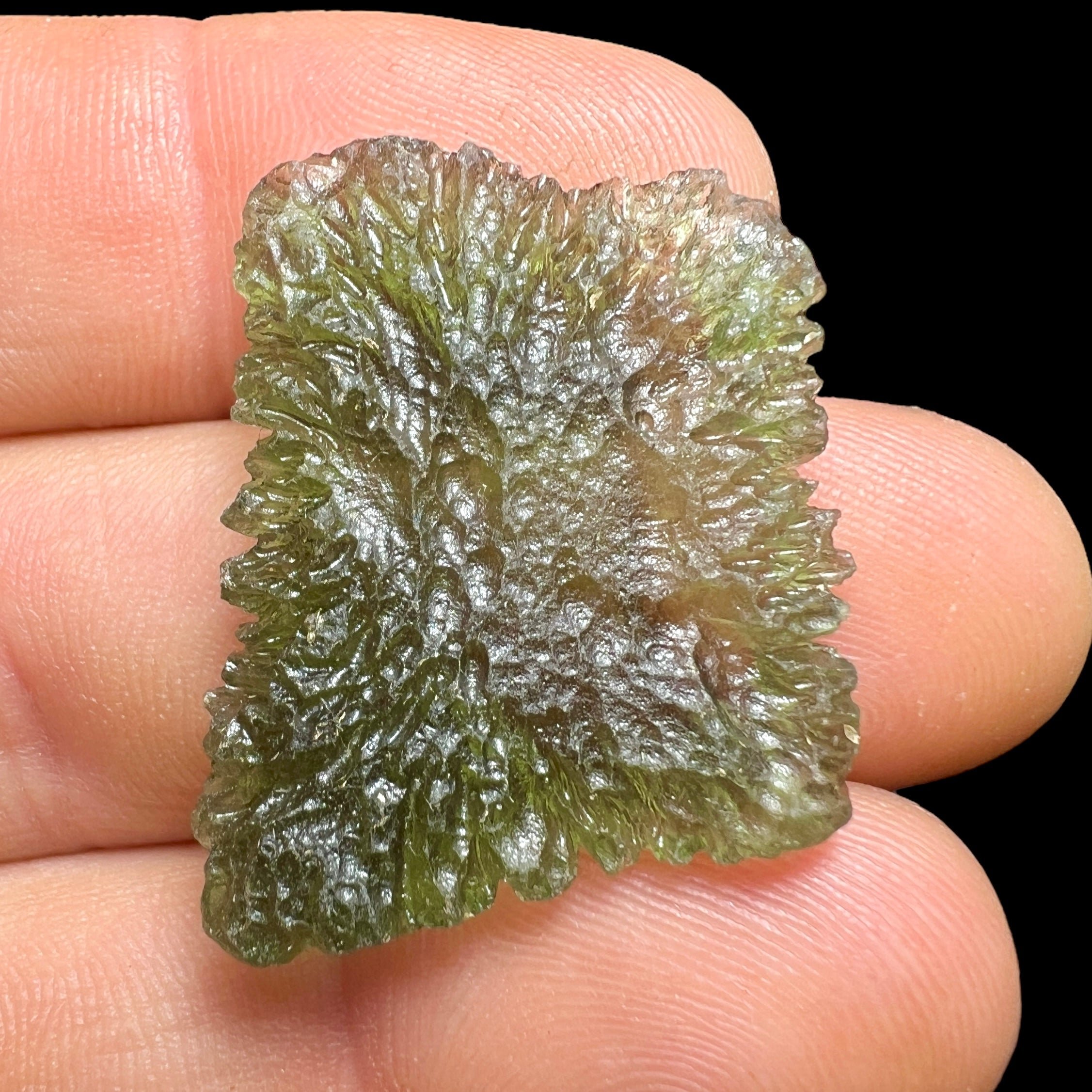 5.02g Moldavite