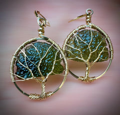 Tree of Tree Moldavite Earrings – 14k Gold