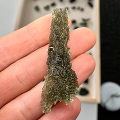 7.81g Moldavite