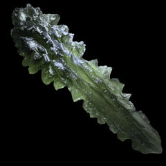 True Besednice Hedgehog - 6.69g.