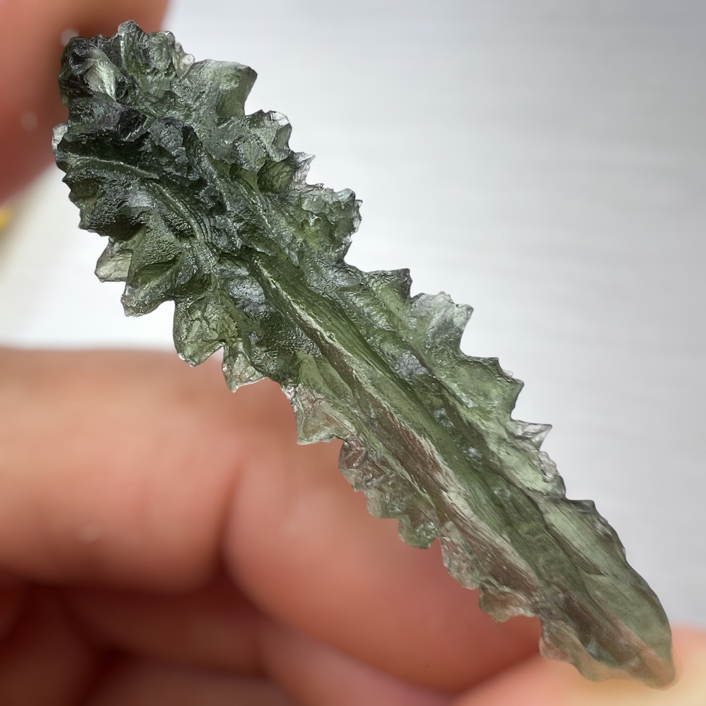 True Besednice Hedgehog - 6.69g.