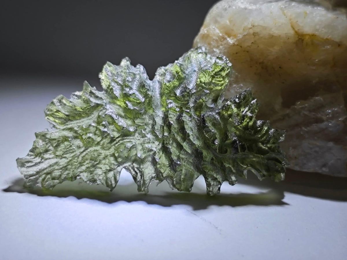 Besednice Hedgehog 1.82g